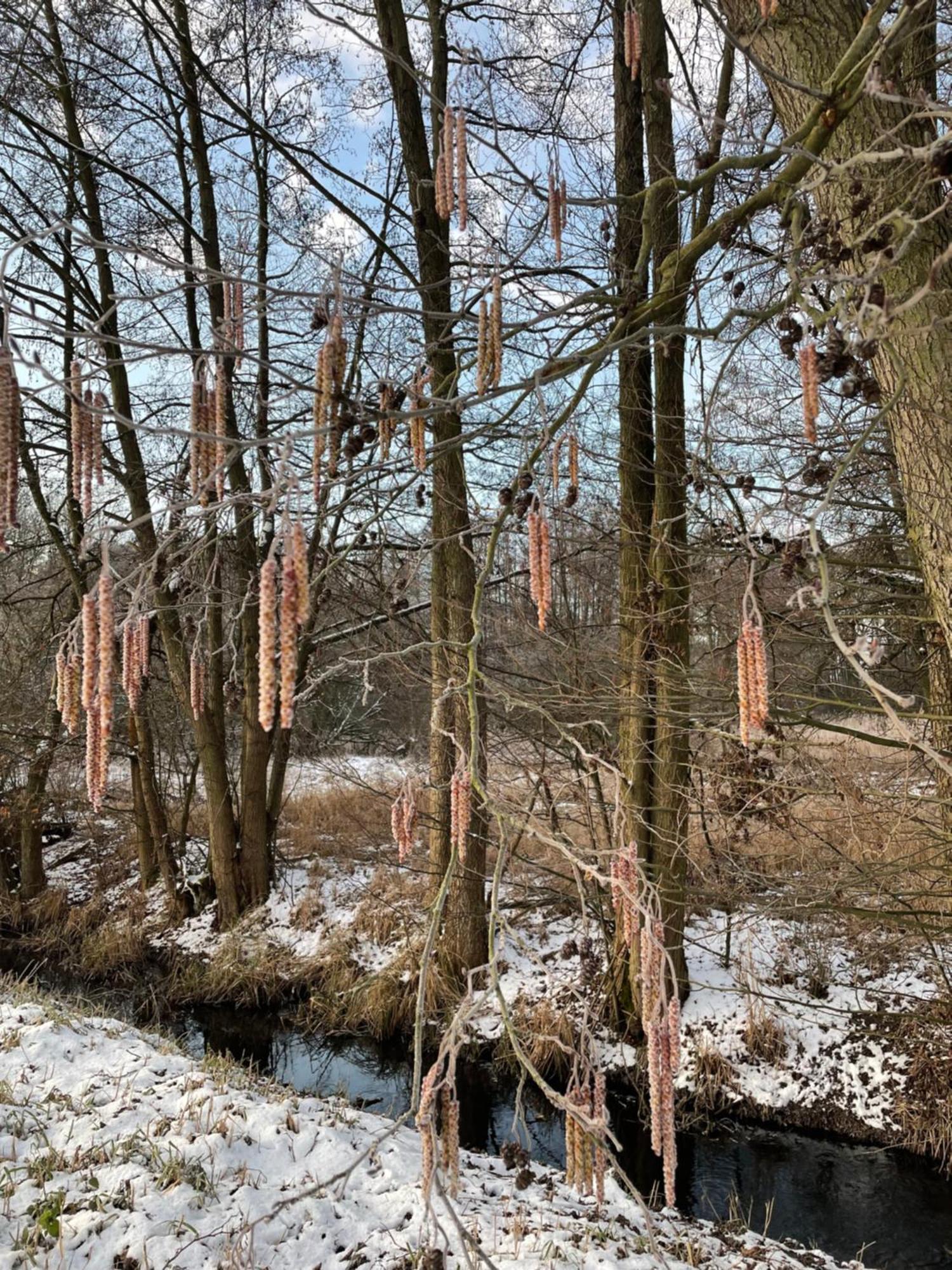 Drahnsdorf Ferienhaus Naturblick 빌라 외부 사진